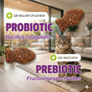 Pet Naturals Daily Probiotic Chews for Cats (30 count) - Cat Digestive & Probiotics Supplements 5