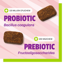 Pet Naturals Daily Probiotic Chews for Dogs - Dog Digestive & Probiotics Supplements 9