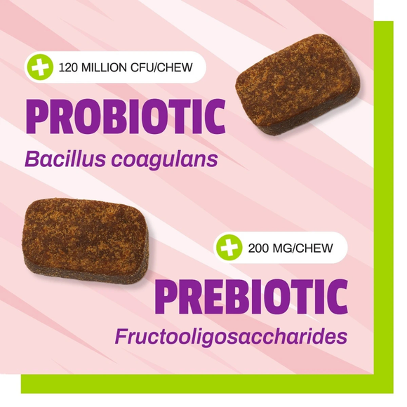 Pet Naturals Daily Probiotic Chews for Dogs - Dog Digestive & Probiotics Supplements 9