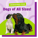 Pet Naturals Daily Probiotic Chews for Dogs - Dog Digestive & Probiotics Supplements 10
