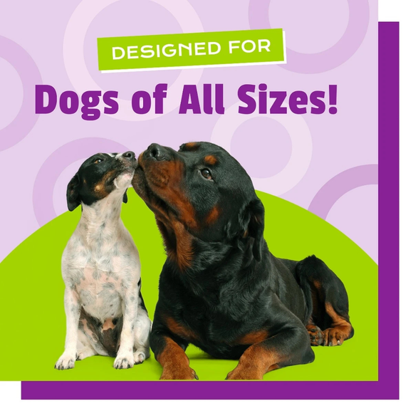 Pet Naturals Daily Probiotic Chews for Dogs - Dog Digestive & Probiotics Supplements 10