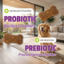 Pet Naturals Daily Probiotic Chews for Dogs - Dog Digestive & Probiotics Supplements 6