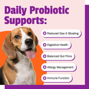 Pet Naturals Daily Probiotic Chews for Dogs - Dog Digestive & Probiotics Supplements 8