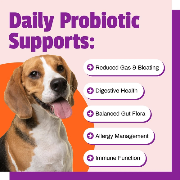 Pet Naturals Daily Probiotic Chews for Dogs - Dog Digestive & Probiotics Supplements 8