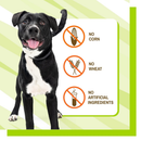 Pet Naturals Daily Probiotic Chews for Dogs - Dog Digestive & Probiotics Supplements 15
