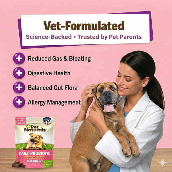 Pet Naturals Daily Probiotic Chews for Dogs - Dog Digestive & Probiotics Supplements 4