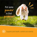 Pet Naturals Hip + Joint Chews for Cats (30 count) - Joint Supplement 5