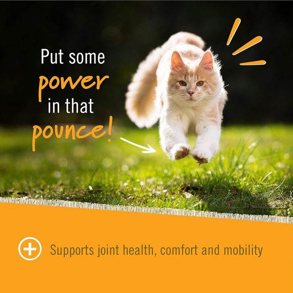 Pet Naturals Hip + Joint Chews for Cats (30 count) - Joint Supplement 5