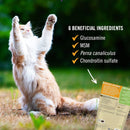 Pet Naturals Hip + Joint Chews for Cats (30 count) - Joint Supplement 3