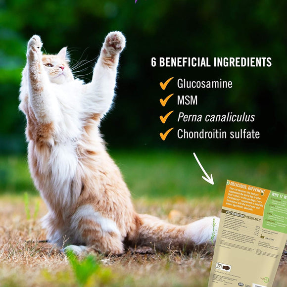 Pet Naturals Hip + Joint Chews for Cats (30 count) - Joint Supplement 3