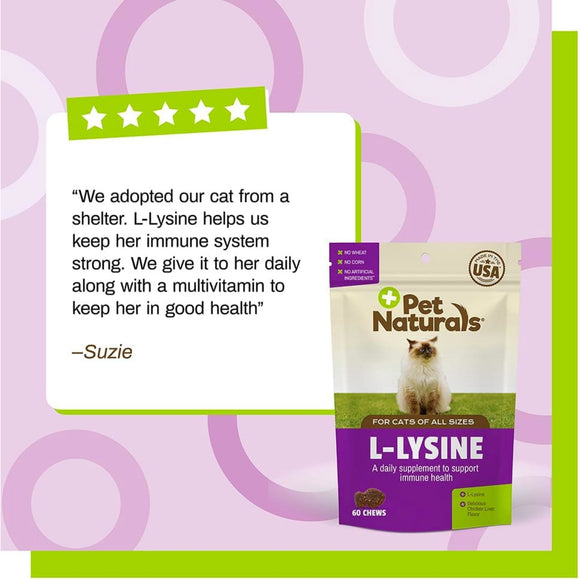 Pet Naturals L-Lysine Chews for Cats (60 count) - Cat Immune & Allergy Supplements 6