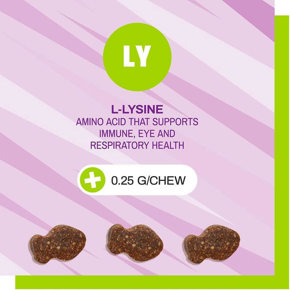 Pet Naturals L-Lysine Chews for Cats (60 count) - Cat Immune & Allergy Supplements 4