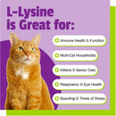 Pet Naturals L-Lysine Chews for Cats (60 count) - Cat Immune & Allergy Supplements 3