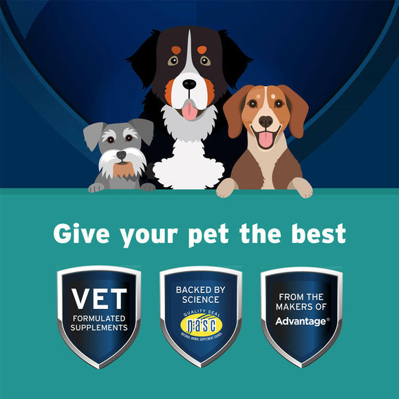 Pet Protect Body Comfort Plus Alenza for Dogs vet formulated