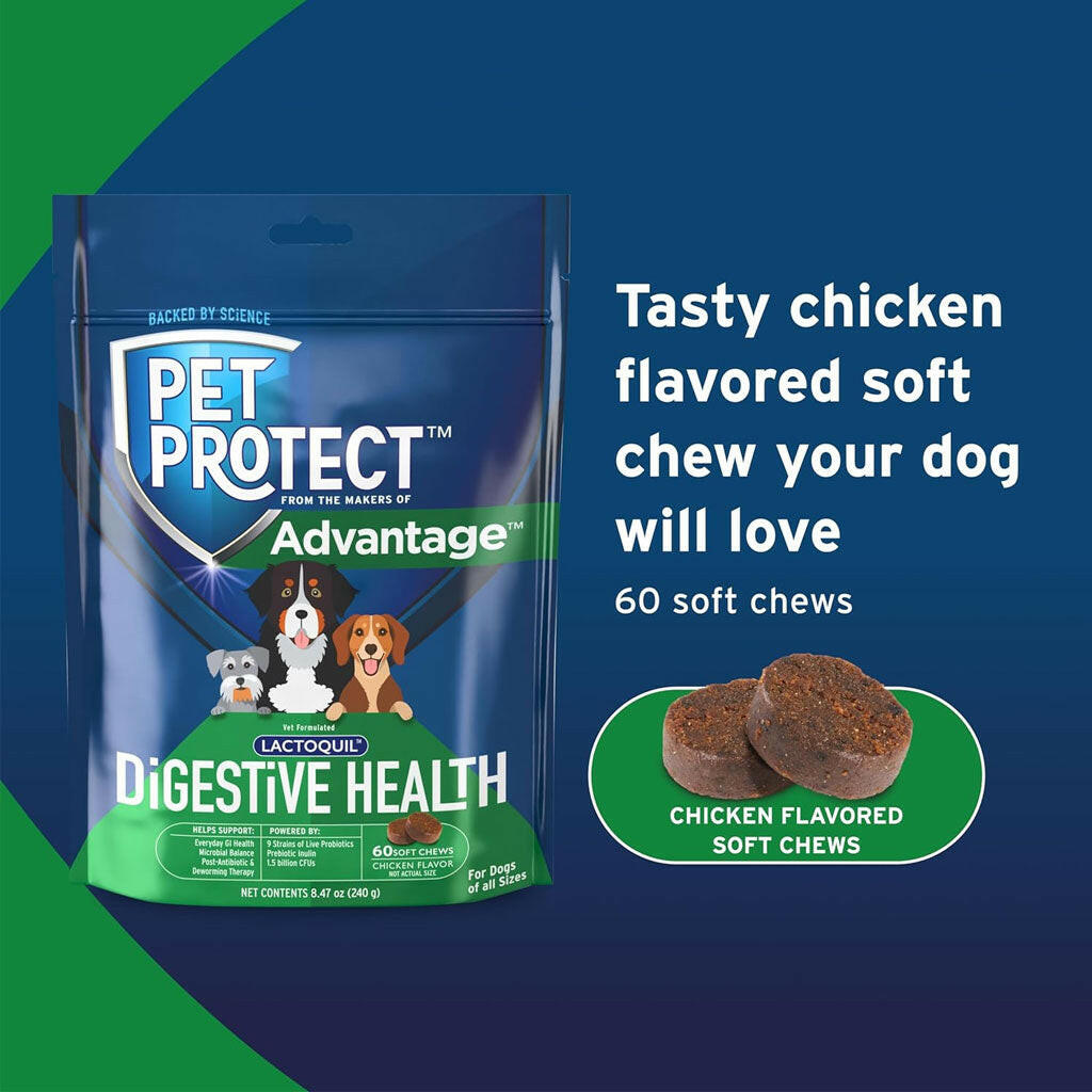 purina gi dog food Pet Protect Digestive Health Lactoquil Soft Chews for Dogs, 60 Ct