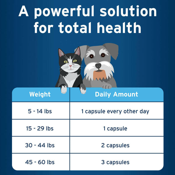 Pet Protect Omega-3 Snip Tips for Small Dog & Cat feeding guidelinePet Protect Omega-3 Snip Tips for Medium & Large Dogs feeding guidelines