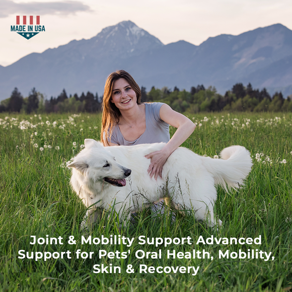 Pet Scholars 1-TDC Dental and Joint Health Softgel Supplement for Dogs and Cats - Dog & Cat Joint Supplement 6