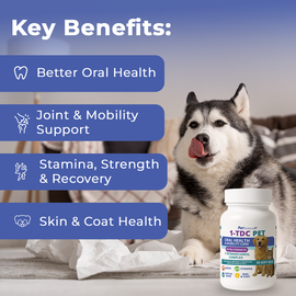 Pet Scholars 1-TDC Dental and Joint Health Softgel Supplement for Dogs and Cats - 0