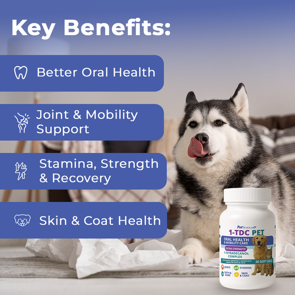 Pet Scholars 1-TDC Dental and Joint Health Softgel Supplement for Dogs and Cats