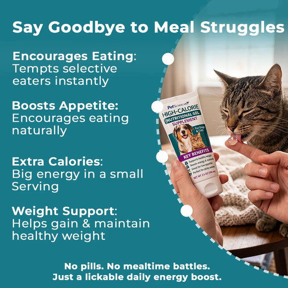 Pet Scholars High-Calorie Nutritional Gel Supplement For Dogs & Cats (3.5 oz) - Supplements & Vitamins for Dogs & Cats 4