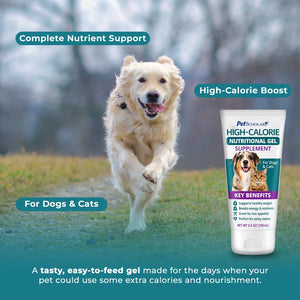 Pet Scholars High-Calorie Nutritional Gel Supplement For Dogs & Cats (3.5 oz) Uses