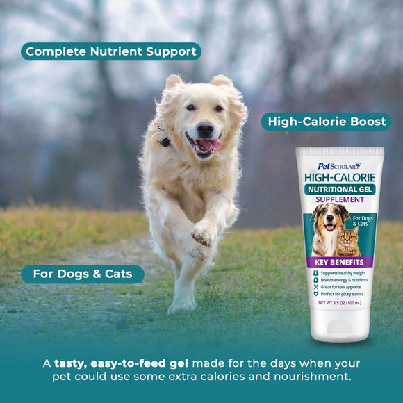 Pet Scholars High-Calorie Nutritional Gel Supplement For Dogs & Cats (3.5 oz) - Supplements & Vitamins for Dogs & Cats 2