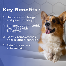 Pet Scholars Ketozole Tris Flush Anti-fungal Cleansing Solution 12 fl oz - All Dog Ear Care 2