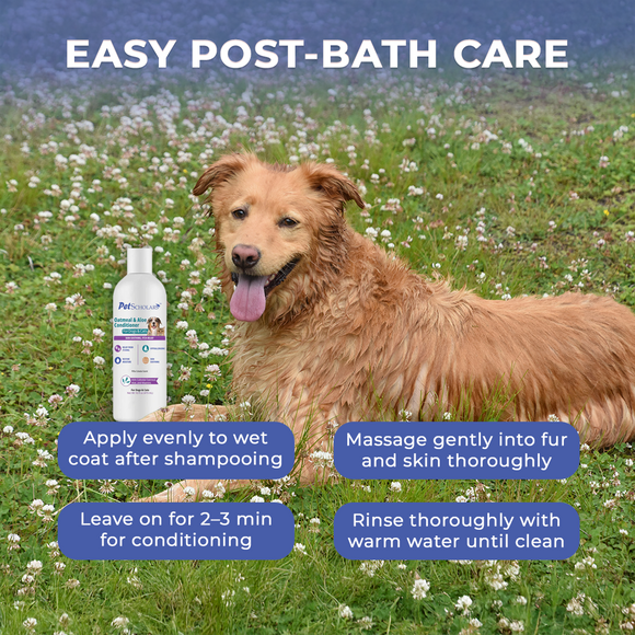 Pet Scholars Oatmeal & Aloe Conditioner Skin Soothing Itch-Relief (16 fl oz) - Pet Shampoo & Conditioner 4