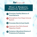 Pet Scholars Probiotic Digestive Support for Dogs & Cats (2.12 oz) - Dog Digestive & Probiotics Supplements 6