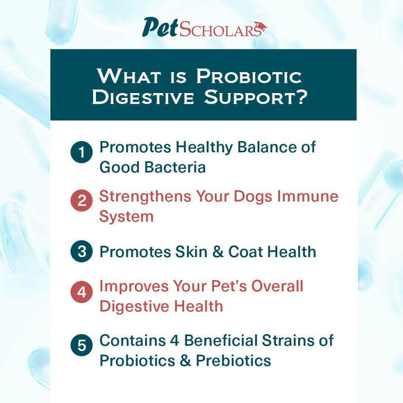 Pet Scholars Probiotic Digestive Support for Dogs & Cats (2.12 oz) - Dog Digestive & Probiotics Supplements 6