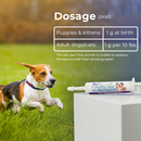Pet Scholars Probiotic Oral Gel for Dogs & Cats 30 cc - Dog Digestive & Probiotics Supplements 4