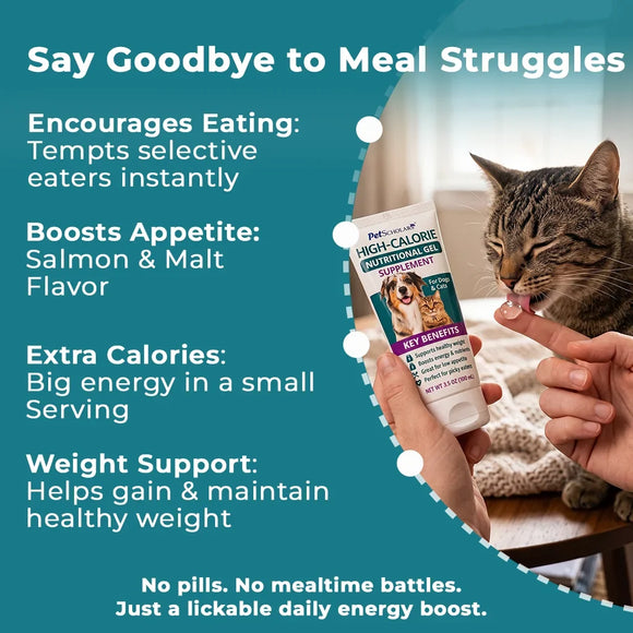 Pet Scholars Recovery & Appetite Support Bundle - 5