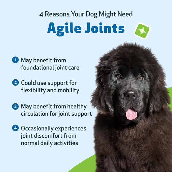 Pet Wellbeing- Agile Joints for Dog Joint Mobility - Dog Joint & Hip Supplements 4