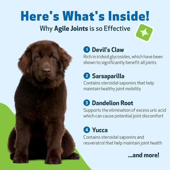 Pet Wellbeing- Agile Joints for Dog Joint Mobility - Dog Joint & Hip Supplements 4