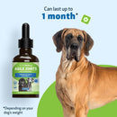 Pet Wellbeing- Agile Joints for Dog Joint Mobility - Dog Joint & Hip Supplements 8