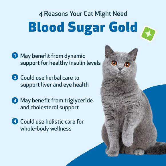 Pet Wellbeing Blood Sugar Gold for Cat Blood Sugar Support - Cat Vitamins & Supplements 11