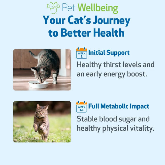 Pet Wellbeing Blood Sugar Gold for Cat Blood Sugar Support - Cat Vitamins & Supplements 10