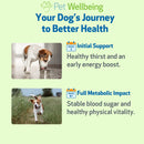 Pet Wellbeing- Blood Sugar Gold for Dog Blood Sugar - Dog Vitamins & Supplements 10