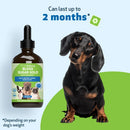Pet Wellbeing- Blood Sugar Gold for Dog Blood Sugar - Dog Vitamins & Supplements 12
