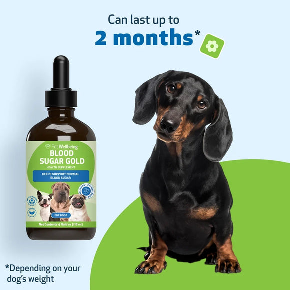 Pet Wellbeing- Blood Sugar Gold for Dog Blood Sugar - Dog Vitamins & Supplements 12