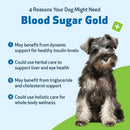 Pet Wellbeing- Blood Sugar Gold for Dog Blood Sugar - Dog Vitamins & Supplements 11