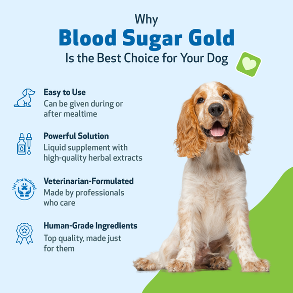 Pet Wellbeing- Blood Sugar Gold for Dog Blood Sugar - Dog Vitamins & Supplements 14