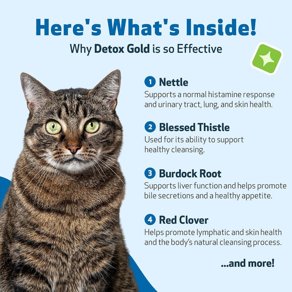 Pet Wellbeing Detox Gold for Cats 2-oz - Cat Vitamins & Supplements 5