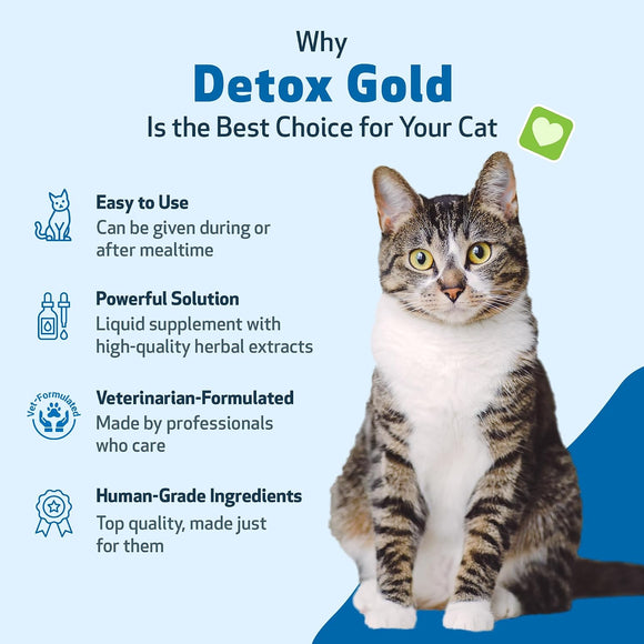 Pet Wellbeing Detox Gold for Cats 2-oz - Cat Vitamins & Supplements 4