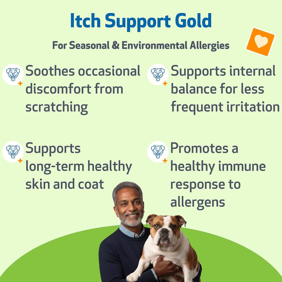 Pet Wellbeing Itch Support Gold - For Allergy-Related Itch in Dogs - Dog Supplements & Vitamins 4
