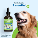 Pet Wellbeing Itch Support Gold - For Allergy-Related Itch in Dogs - Dog Supplements & Vitamins 13