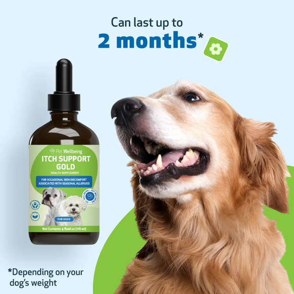Pet Wellbeing Itch Support Gold - For Allergy-Related Itch in Dogs - Dog Supplements & Vitamins 13