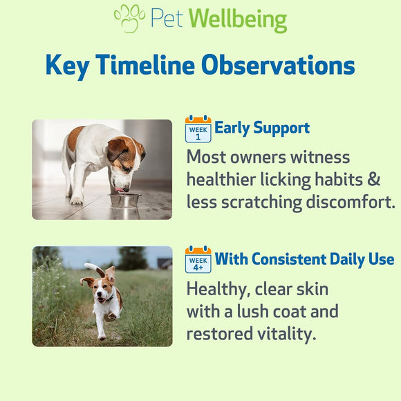Pet Wellbeing Itch Support Gold - For Allergy-Related Itch in Dogs - Dog Supplements & Vitamins 10