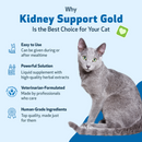 Pet Wellbeing Kidney Support Gold for Cats - Cat Supplements & Vitamins 3