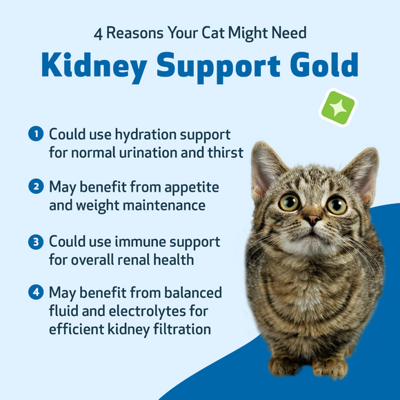 Pet Wellbeing Kidney Support Gold for Cats - Cat Supplements & Vitamins 5